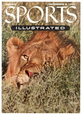 40886 - Cover Image
